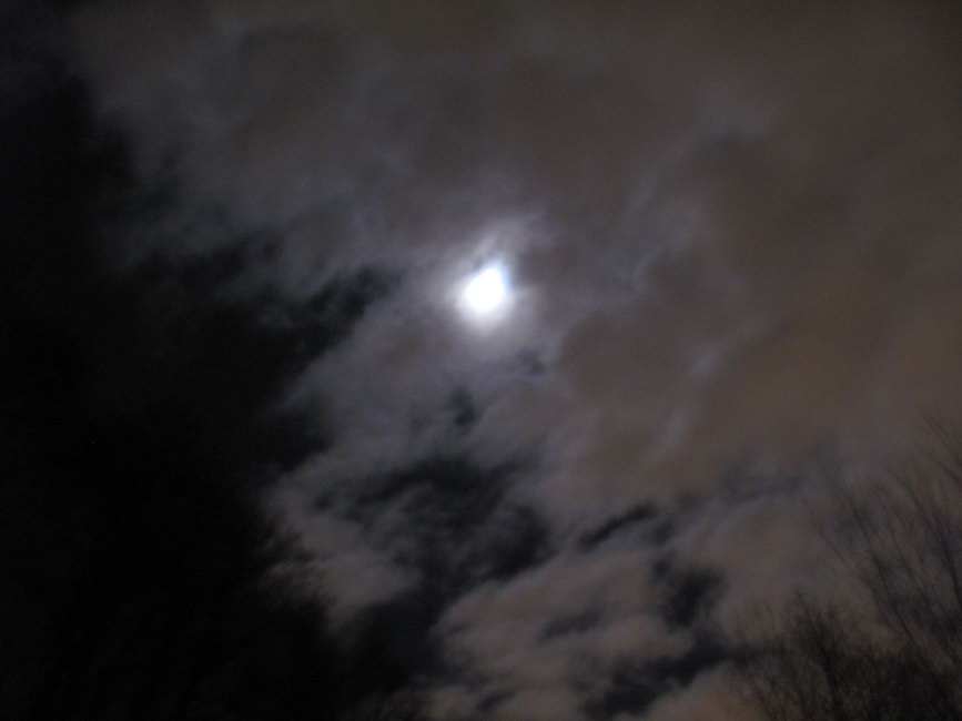 Луна за облаками в Измайловском парке